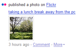 flickr on friendfeed via mobile