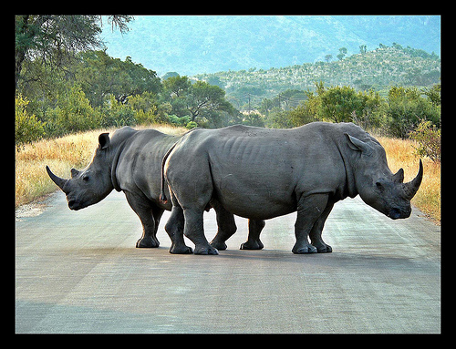 Road Block Road Block